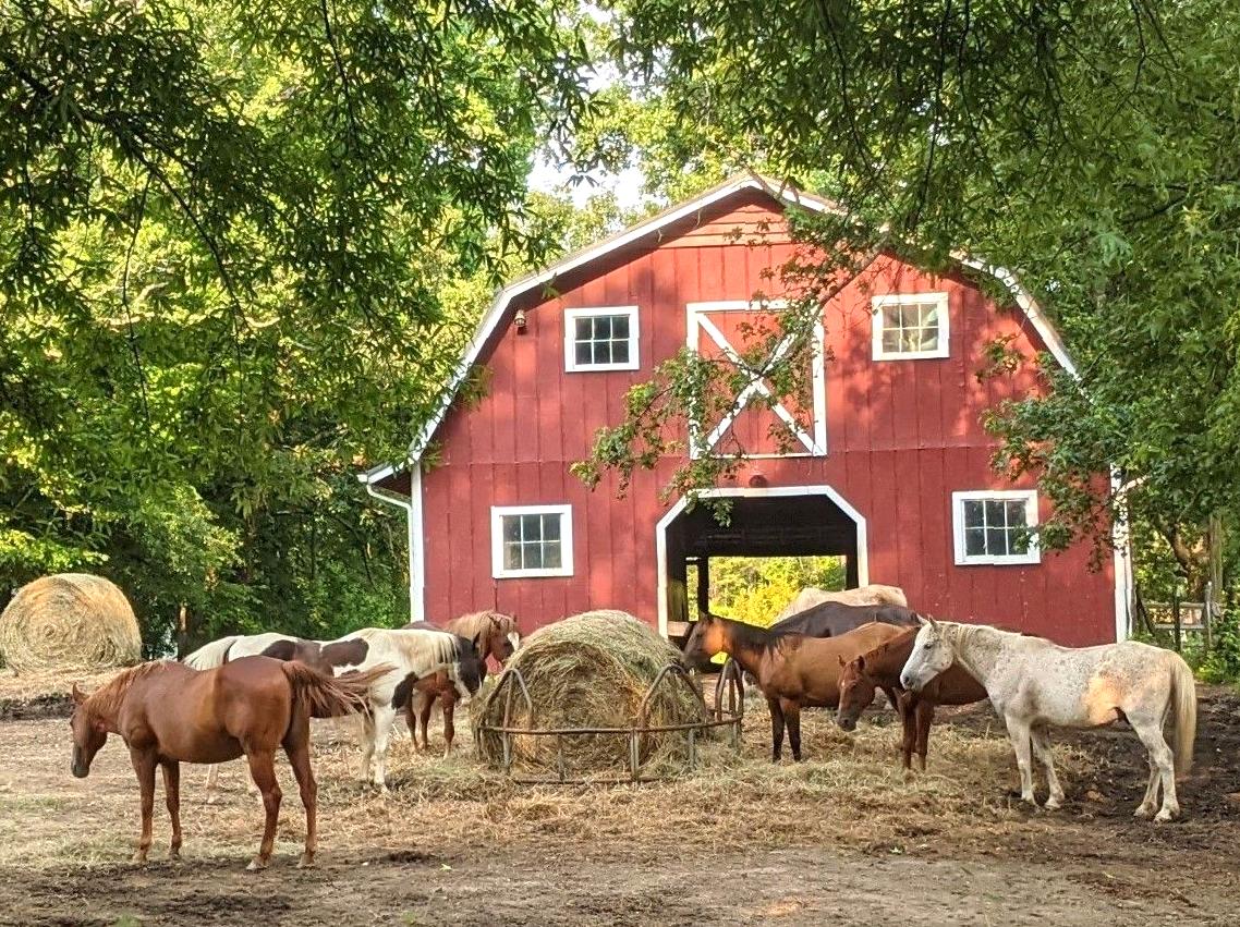 Havenwood Farm: Agricultural Tours and Activities