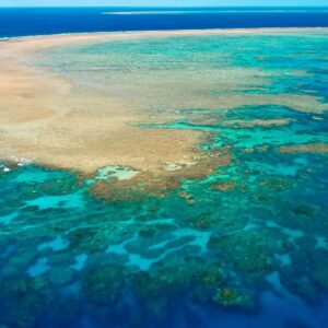 How to have a low-impact holiday on the Great Barrier Reef