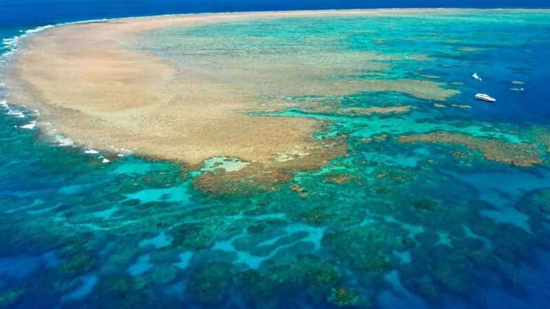 How to have a low-impact holiday on the Great Barrier Reef