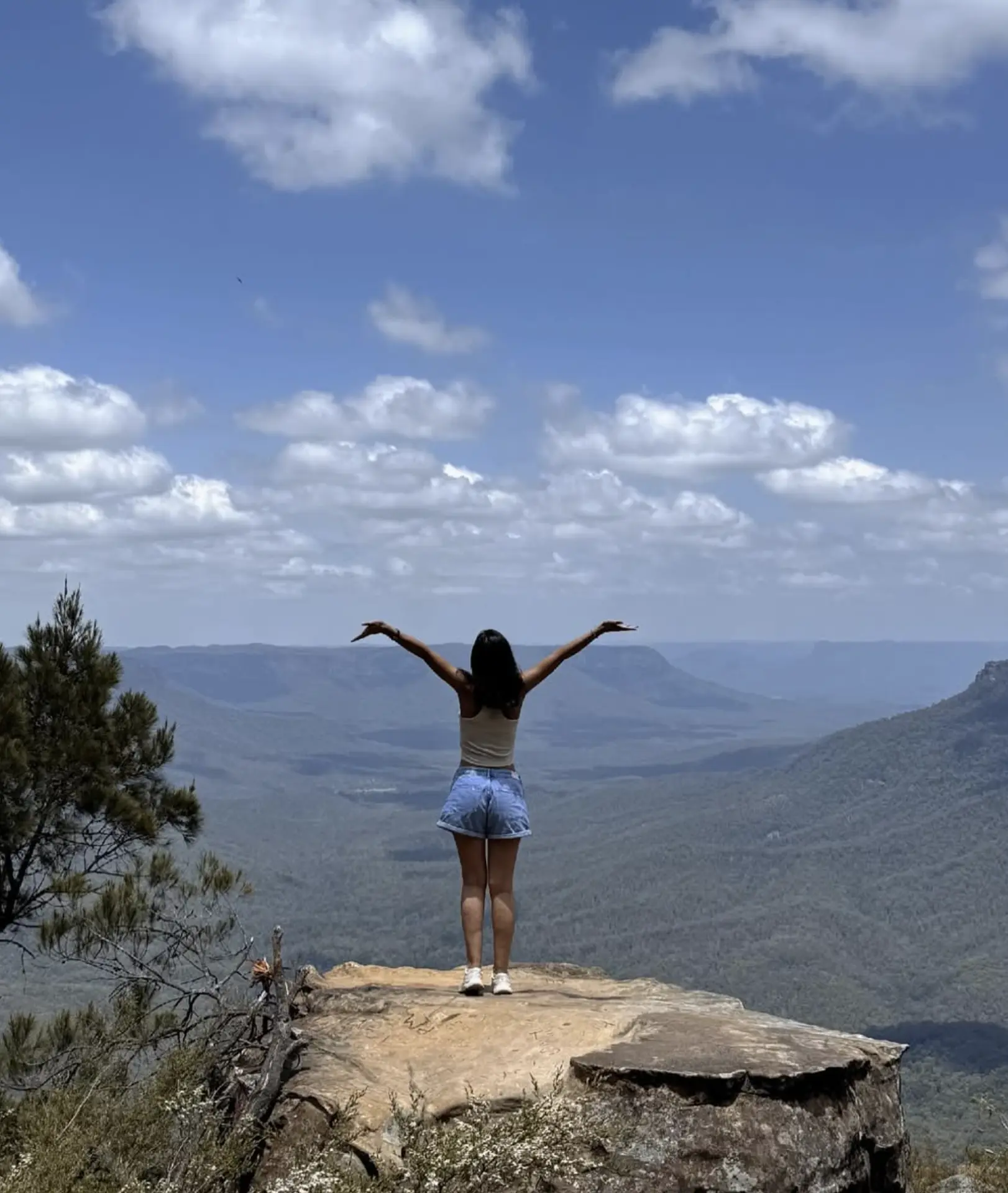 Top Family-Friendly Blue Mountains Bushwalks for Stunning Views