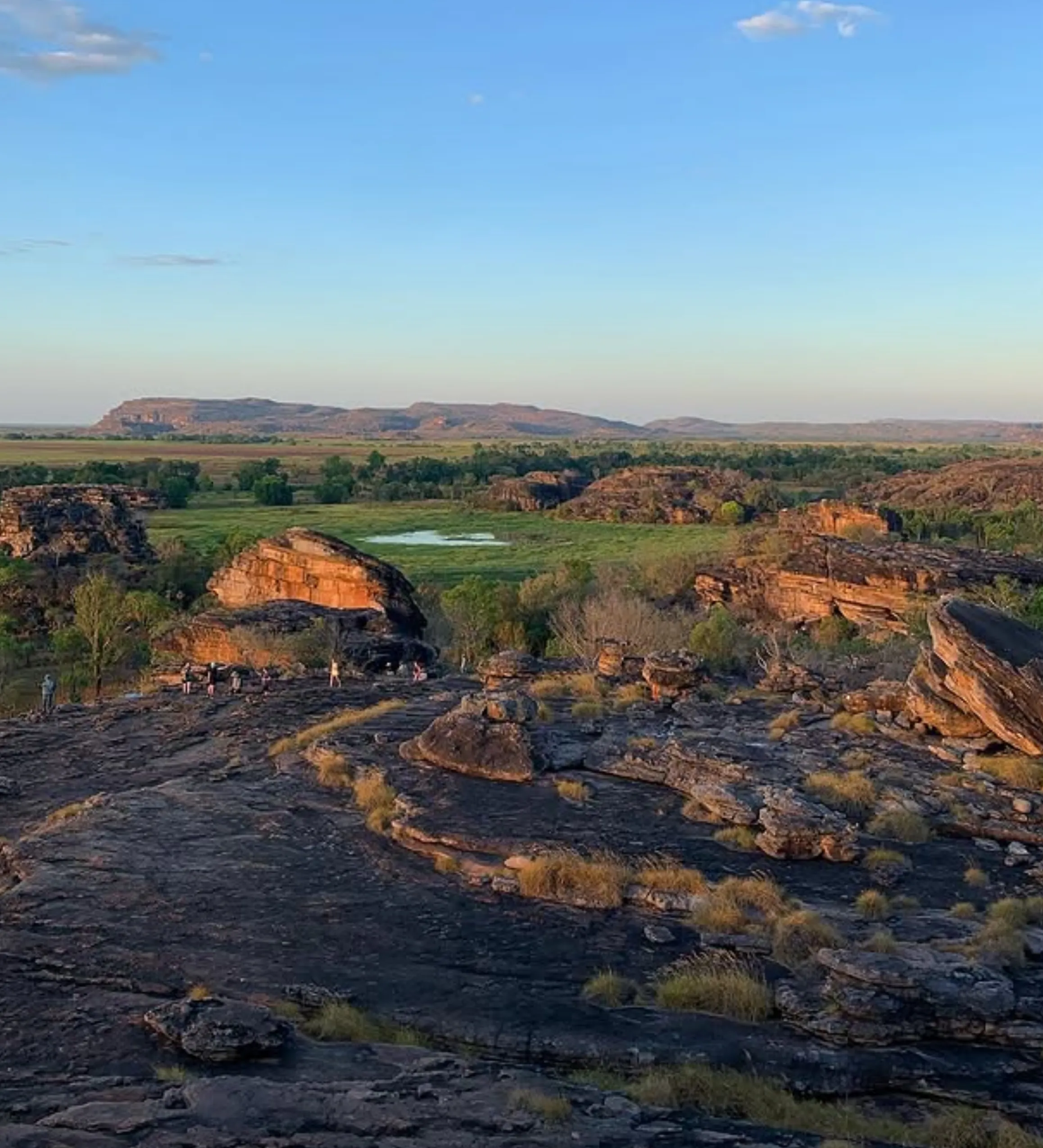 crocodile country